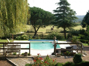 Former customs house with large garden and private pool 4 km from Chinon